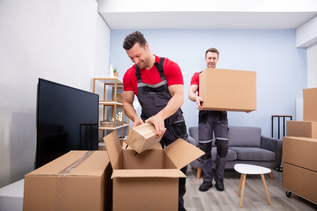 two men team moving a furniture
